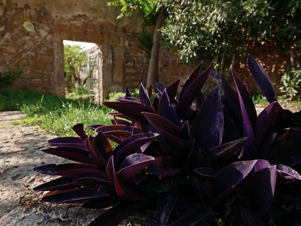 Masseria Maccarone Фазано Экстерьер фото